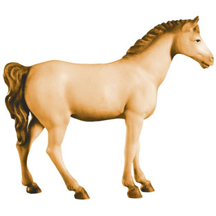 Caballo blanco