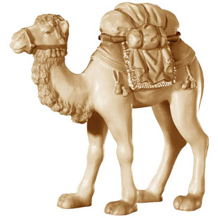 Camello