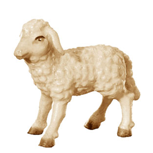 Cordero