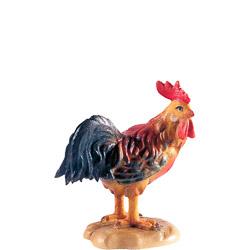 Gallo b.k.