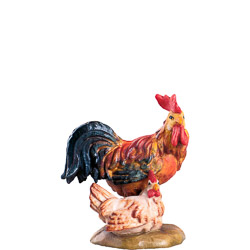 Gallo con gallina b.k.