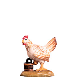 Gallina b.k.