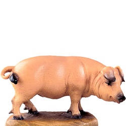 Cerdo b.k.