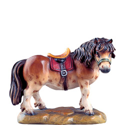 Pony b.k.