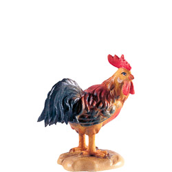 Gallo d.k.
