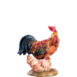 Gallo con gallina d.k.