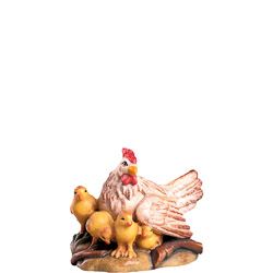 Madre gallina d.k.