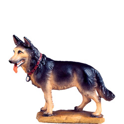 Perro pastor d.k.