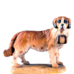 Perro (s. Bernardo) d.k.