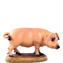 Cerdo d.k.