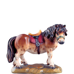 Pony d.k.
