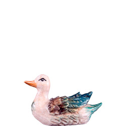Pato blanco t.k.