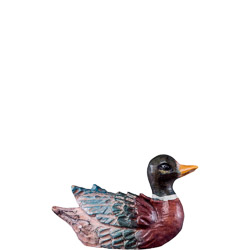 Pato verde r.k.