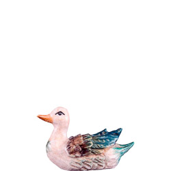 Pato blanco r.k.