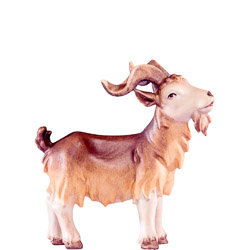 Macho de cabra artis