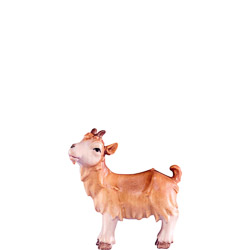 Cabrito artis