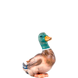 Pato artis verde