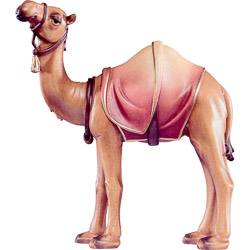 Camello artis