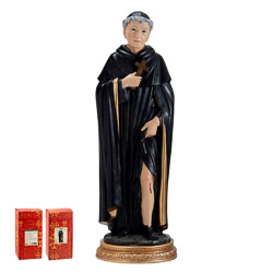 Imagen de San Peregrino en resina de poliste...