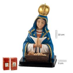 Imagen devocional de la Virgen de Altagracia