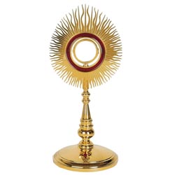 Custodia Diseo Solar con Detalle en Rojo